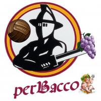 Logo Perbacco team